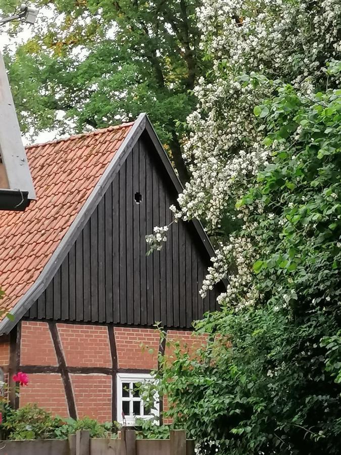 Ferienhaus In Rumke Bippen Εξωτερικό φωτογραφία