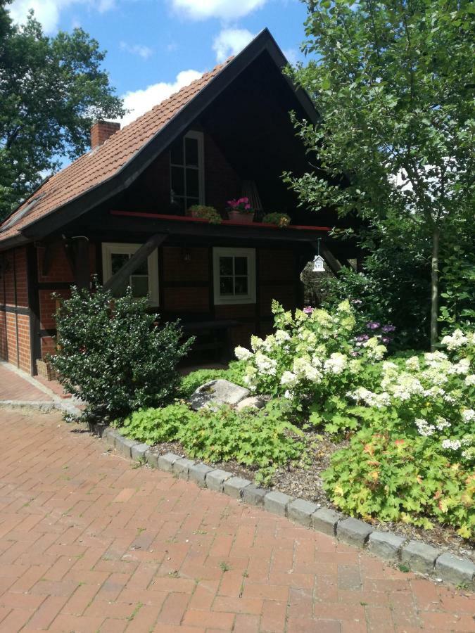 Ferienhaus In Rumke Bippen Εξωτερικό φωτογραφία